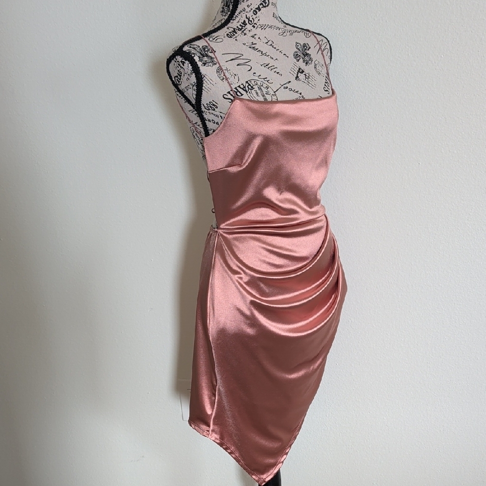 Chic Satin Dress in Blush